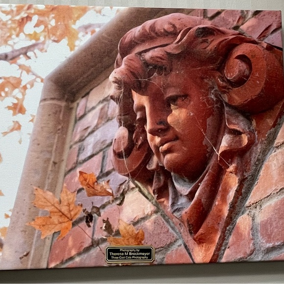 Photography by Theresa Brockmeyer. 16x20 Cherub canvas - Picture 1 of 2